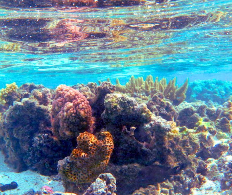 Resort Tava'E Amuri Exterior foto